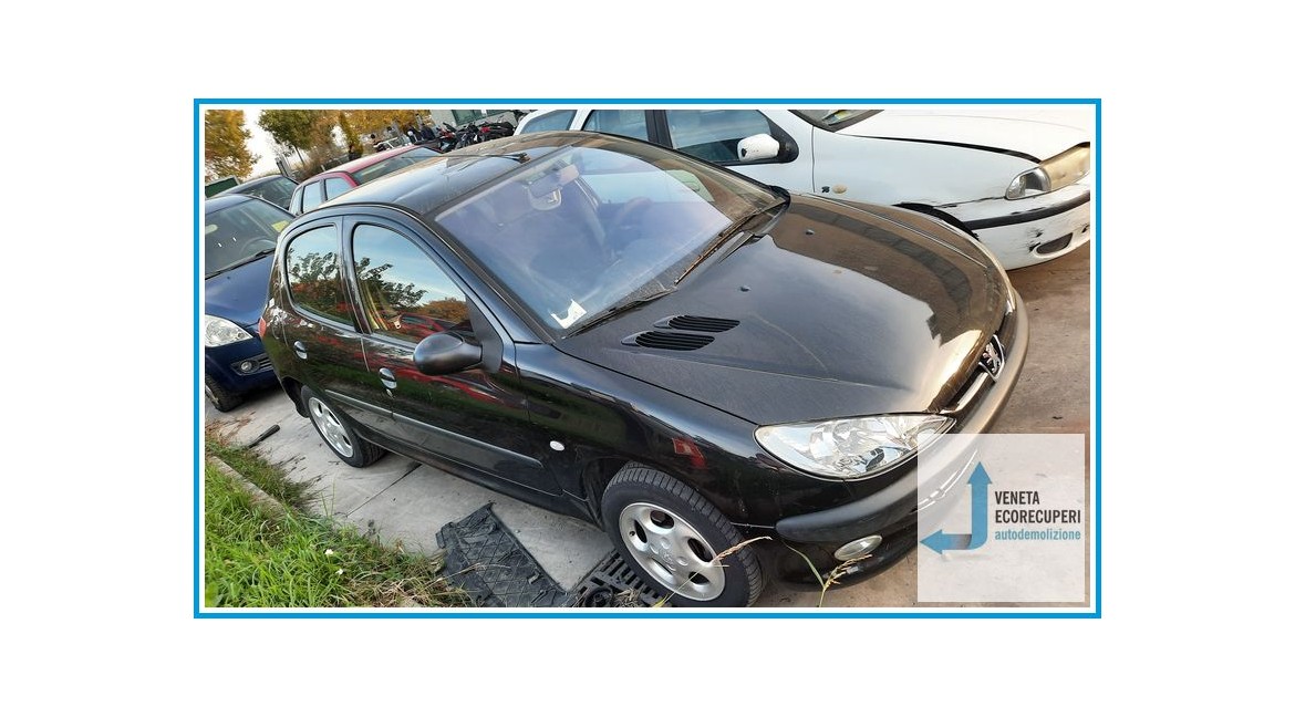 PEUGEOT 206  del 2003 parti usate e ricambi