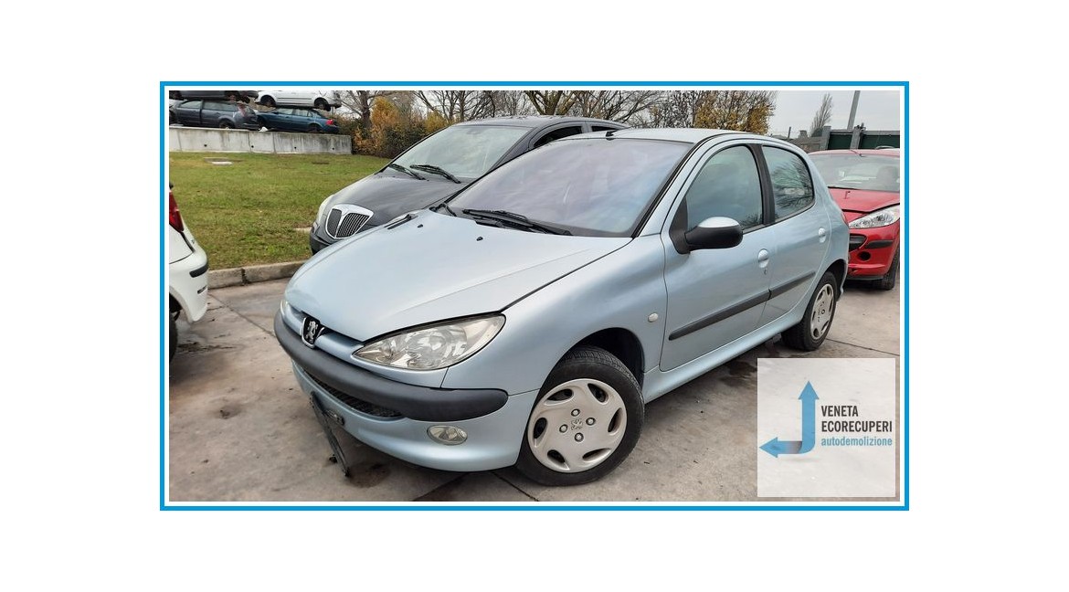 PEUGEOT 206  del 2003 parti usate e ricambi