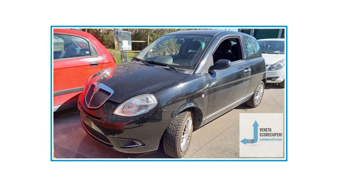 LANCIA YPSILON TE del 2006 parti usate e ricambi - Tipo Motore 199A3000