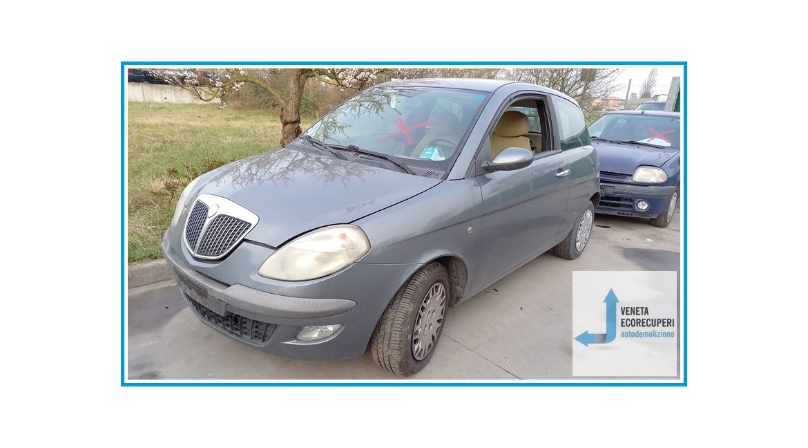 LANCIA YPSILON TE del 2004 parti usate e ricambi - Tipo Motore 188A4000