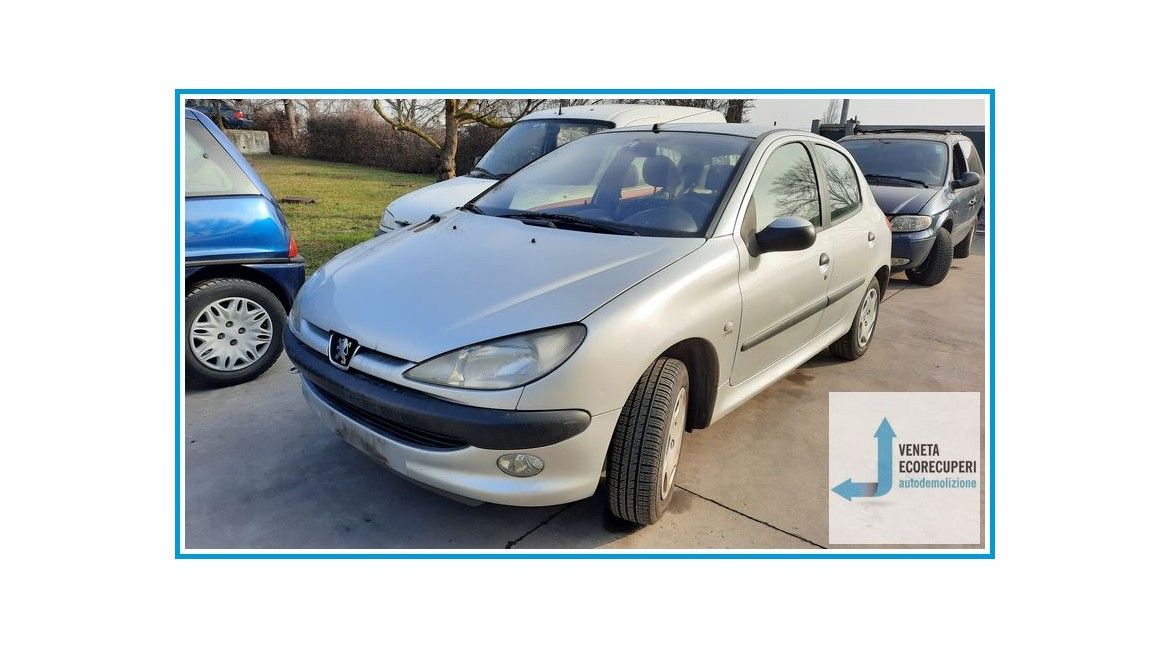 PEUGEOT 206  del 2002 parti usate e ricambi