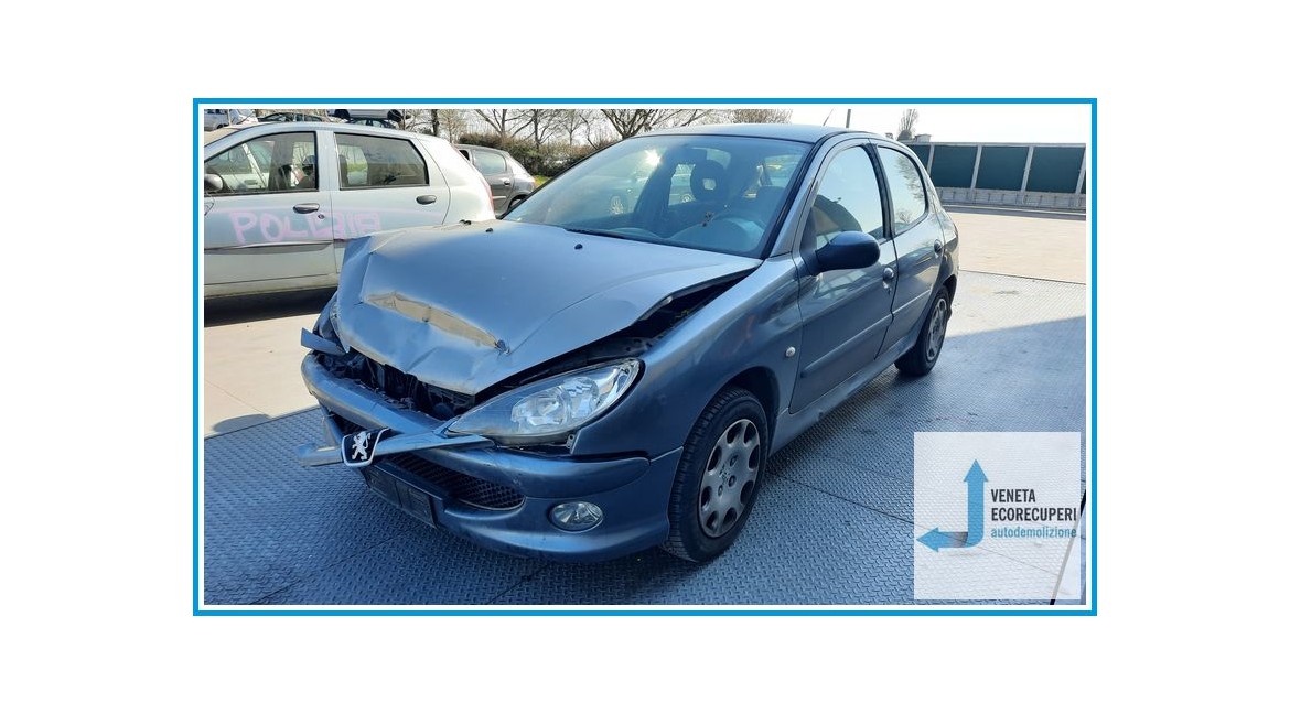 PEUGEOT 206  del 2009 parti usate e ricambi