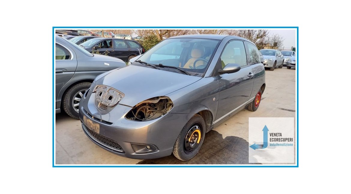 LANCIA YPSILON TE del 2008 parti usate e ricambi - Tipo Motore 350A1000