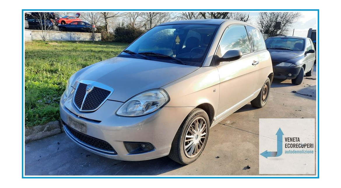 LANCIA YPSILON TE del 2008 parti usate e ricambi - Tipo Motore 188A4000