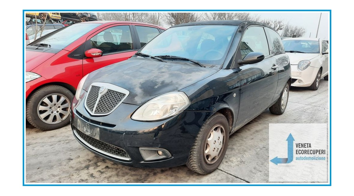 LANCIA YPSILON TE del 2007 parti usate e ricambi - Tipo Motore 188A4000